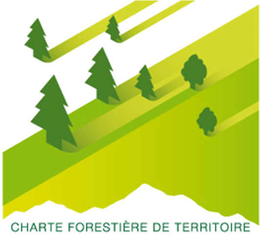LOGO CFT